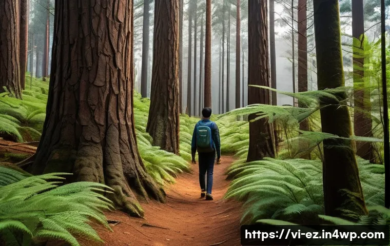 야외 마인드풀니스의 과학적 근거 - **Forest Scene:** The person is seen walking slowly through a serene pine forest, akin to those foun...